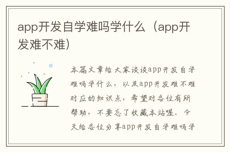 app开发自学难吗学什么(app开发难不难)