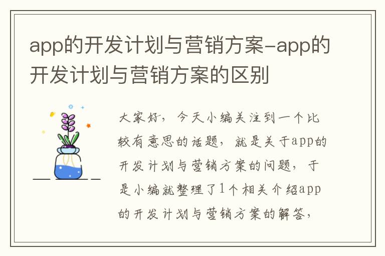 app的开发计划与营销方案-app的开发计划与营销方案的区别