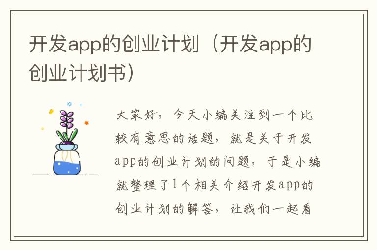 开发app的创业计划(开发app的创业计划书)
