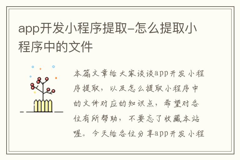 app开发小程序提取-怎么提取小程序中的文件