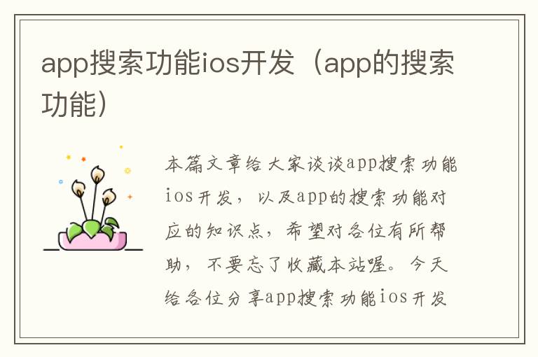 app搜索功能ios开发(app的搜索功能)