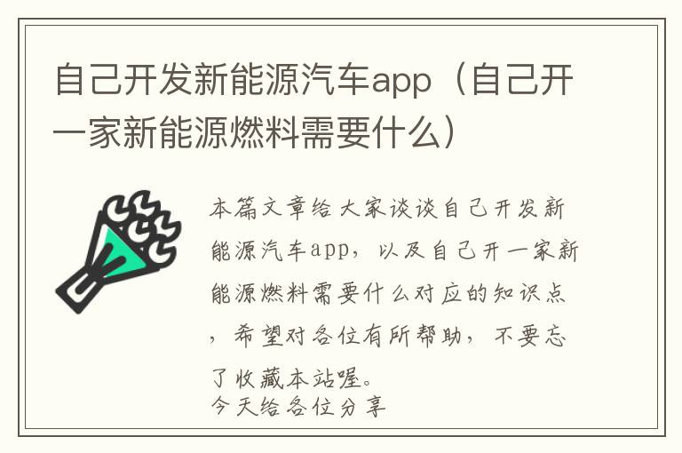 自己开发新能源汽车app(自己开一家新能源燃料需要什么)