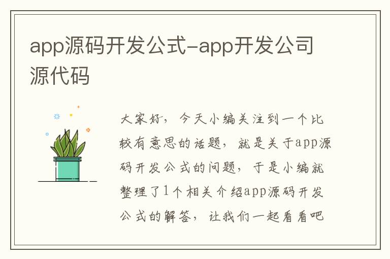 app源码开发公式-app开发公司 源代码