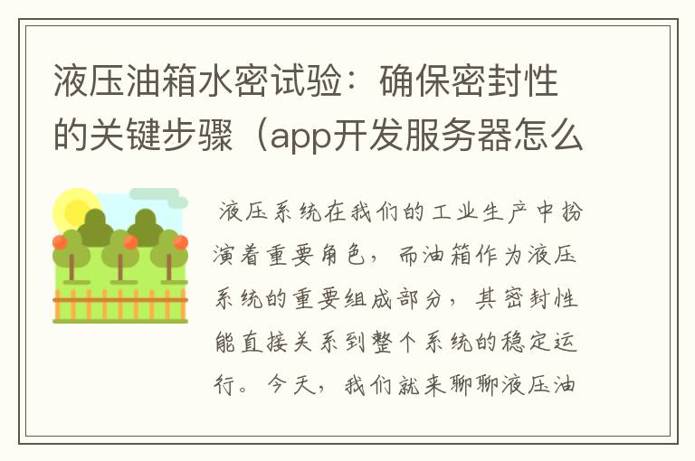 液压油箱水密试验:确保密封性的关键步骤(app开发服务器怎么搭建)