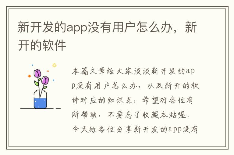 新开发的app没有用户怎么办,新开的软件