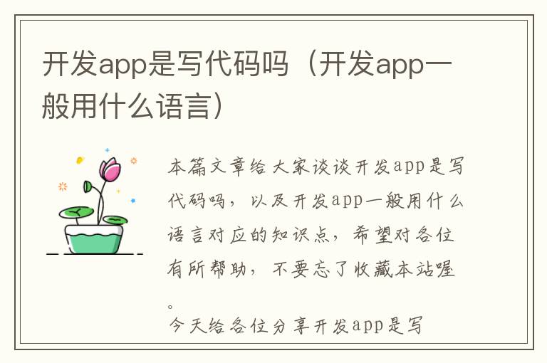 开发app是写代码吗(开发app一般用什么语言)