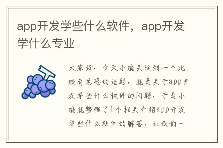 app开发学些什么软件,app开发学什么专业