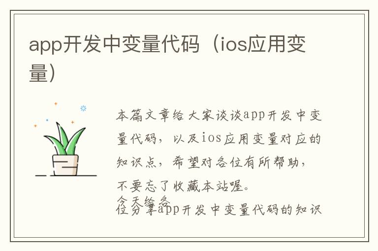 app开发中变量代码(ios应用变量)