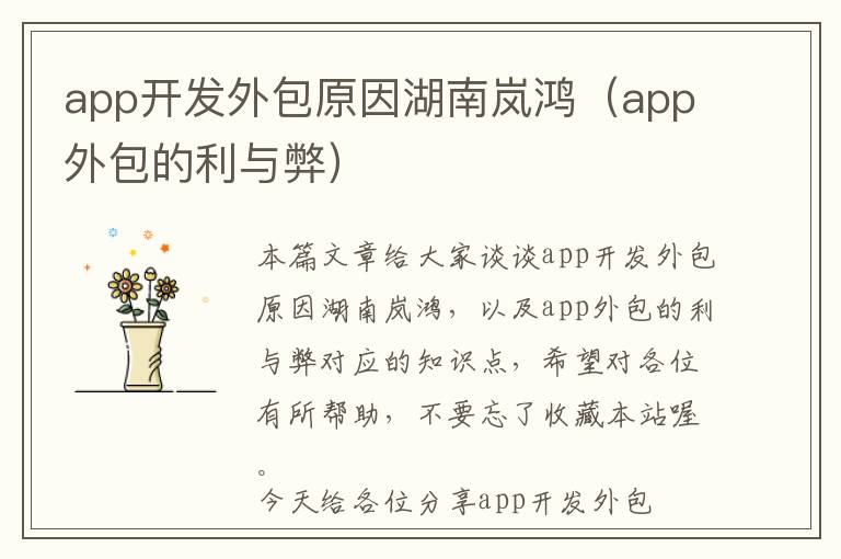 app开发外包原因湖南岚鸿(app外包的利与弊)