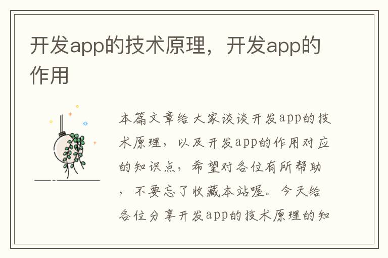 开发app的技术原理,开发app的作用