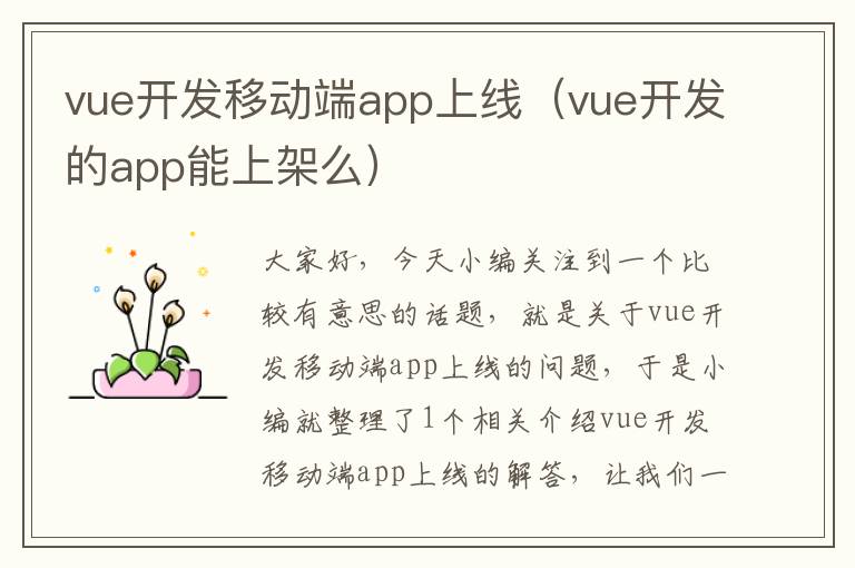 vue开发移动端app上线(vue开发的app能上架么)