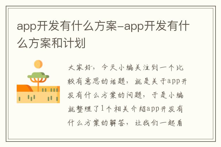 app开发有什么方案-app开发有什么方案和计划