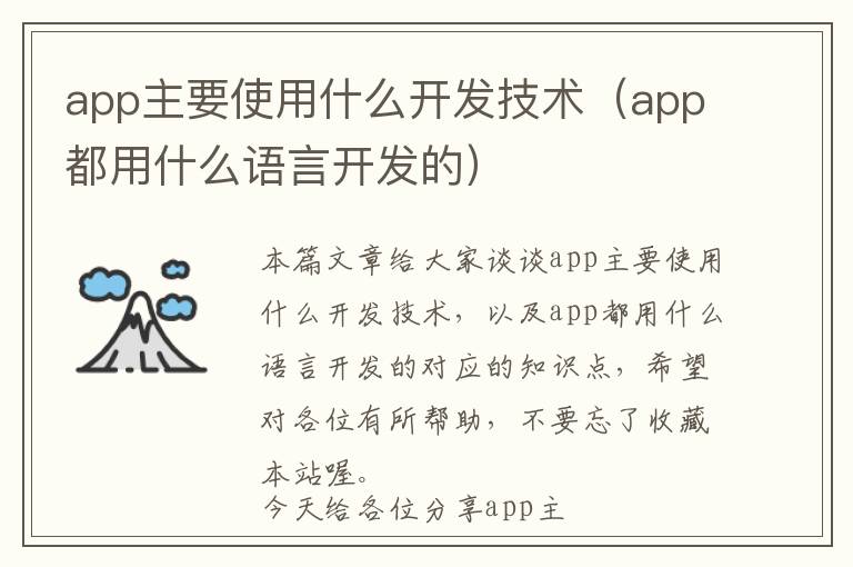 app主要使用什么开发技术(app都用什么语言开发的)