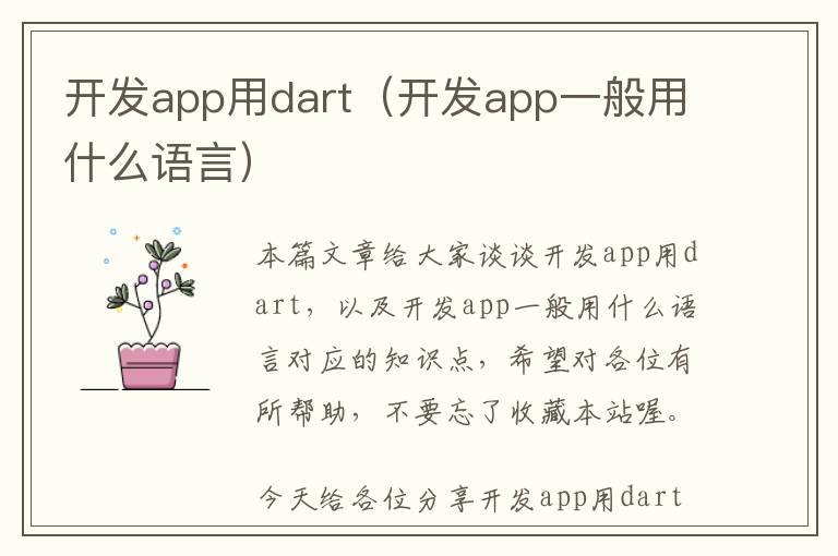 开发app用dart(开发app一般用什么语言)