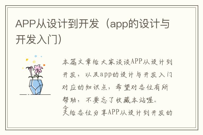 APP从设计到开发(app的设计与开发入门)