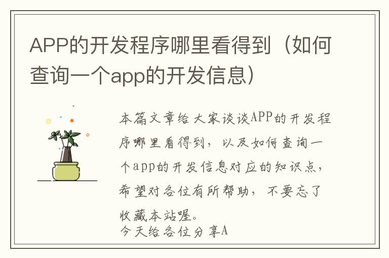 APP的开发程序哪里看得到(如何查询一个app的开发信息)