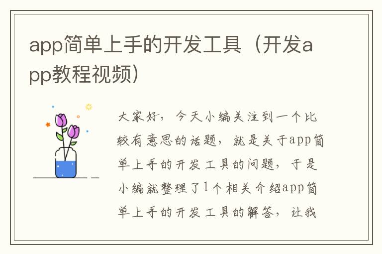 app简单上手的开发工具(开发app教程视频)
