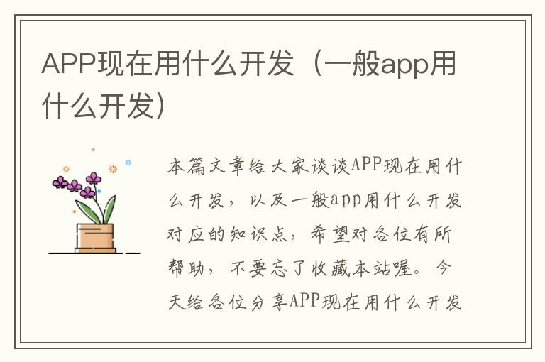 APP现在用什么开发(一般app用什么开发)