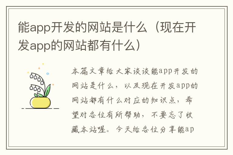 能app开发的网站是什么(现在开发app的网站都有什么)