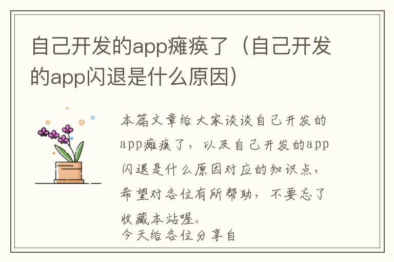 自己开发的app瘫痪了(自己开发的app闪退是什么原因)