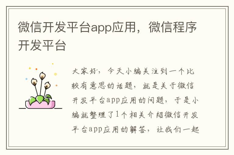 微信开发平台app应用,微信程序开发平台