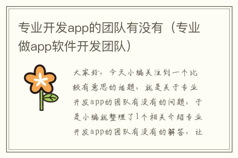 专业开发app的团队有没有(专业做app软件开发团队)