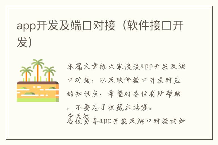 app开发及端口对接(软件接口开发)