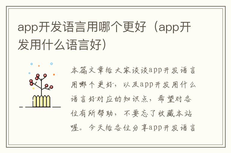 app开发语言用哪个更好(app开发用什么语言好)