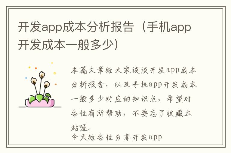 开发app成本分析报告(手机app开发成本一般多少)