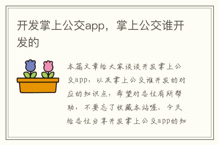 开发掌上公交app,掌上公交谁开发的