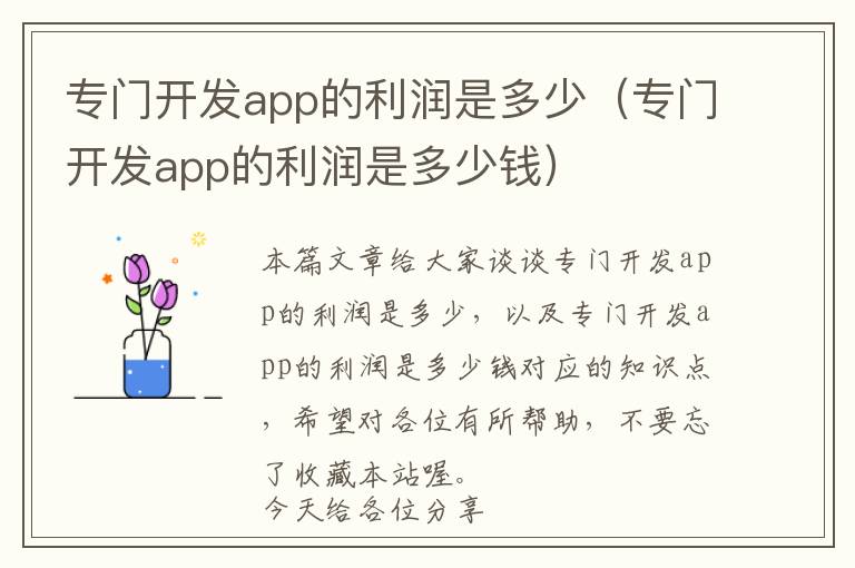 专门开发app的利润是多少(专门开发app的利润是多少钱)