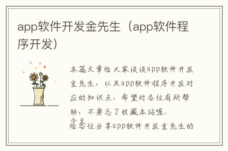 app软件开发金先生(app软件程序开发)