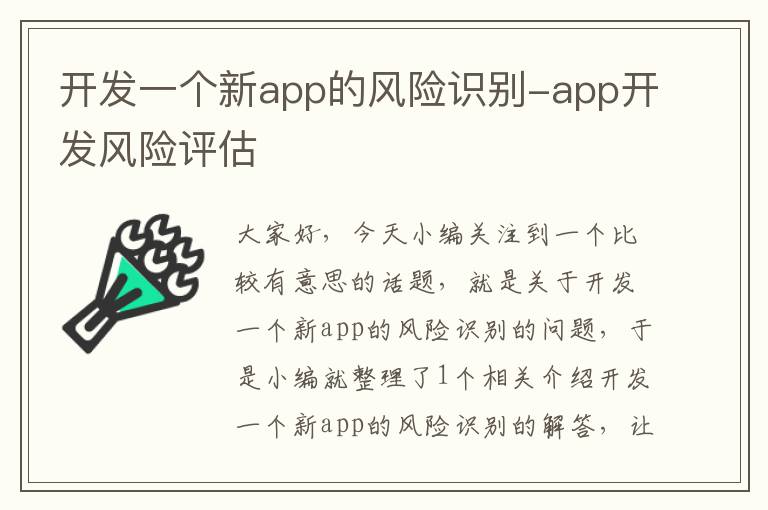 开发一个新app的风险识别-app开发风险评估
