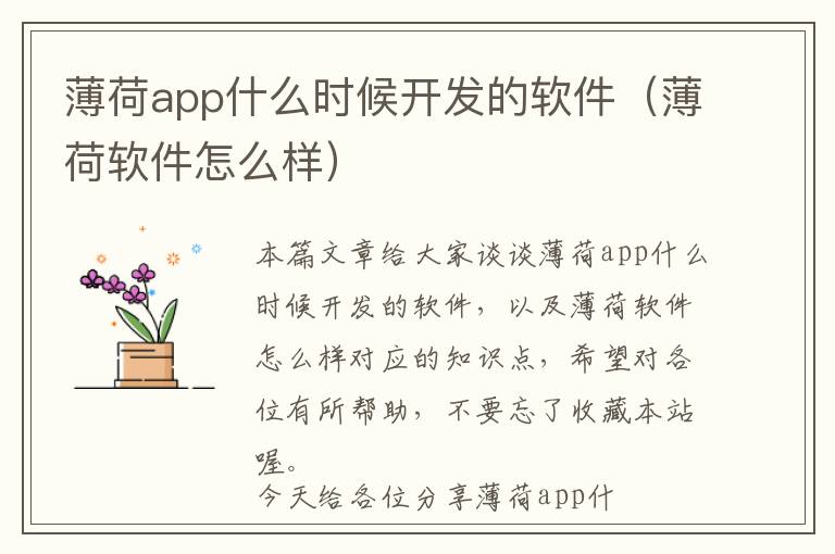 薄荷app什么时候开发的软件(薄荷软件怎么样)