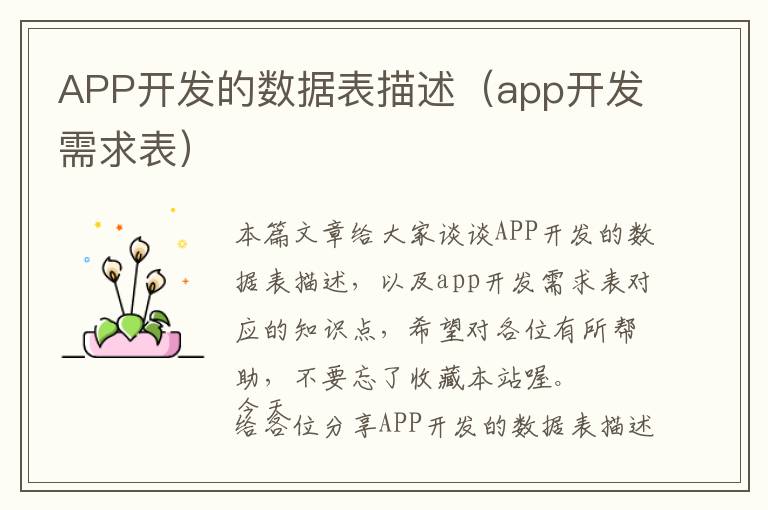 APP开发的数据表描述(app开发需求表)