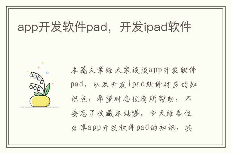 app开发软件pad,开发ipad软件