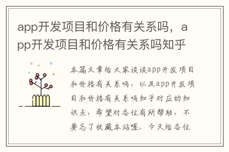 app开发项目和价格有关系吗,app开发项目和价格有关系吗知乎