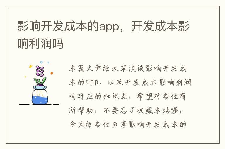 影响开发成本的app,开发成本影响利润吗