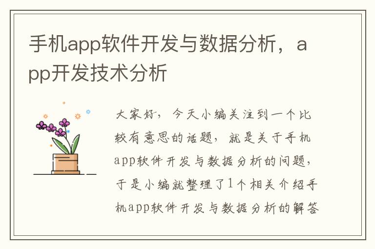 手机app软件开发与数据分析,app开发技术分析