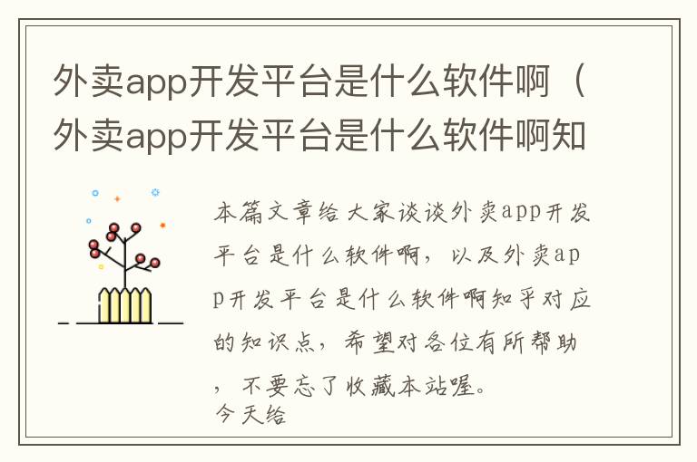 外卖app开发平台是什么软件啊(外卖app开发平台是什么软件啊知乎)