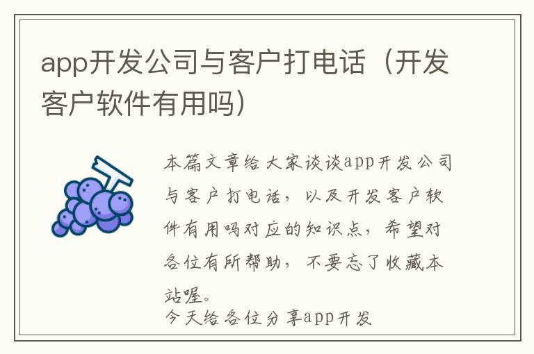 app开发公司与客户打电话(开发客户软件有用吗)