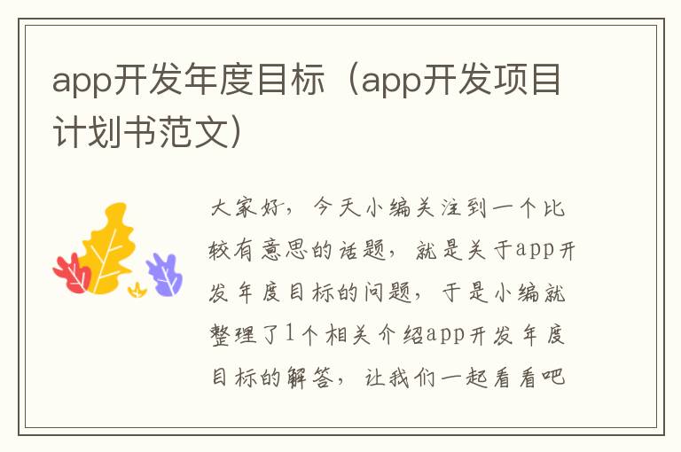 app开发年度目标(app开发项目计划书范文)