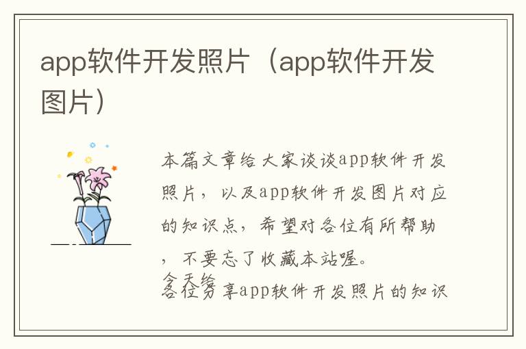 app软件开发照片(app软件开发图片)