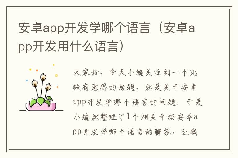 安卓app开发学哪个语言(安卓app开发用什么语言)