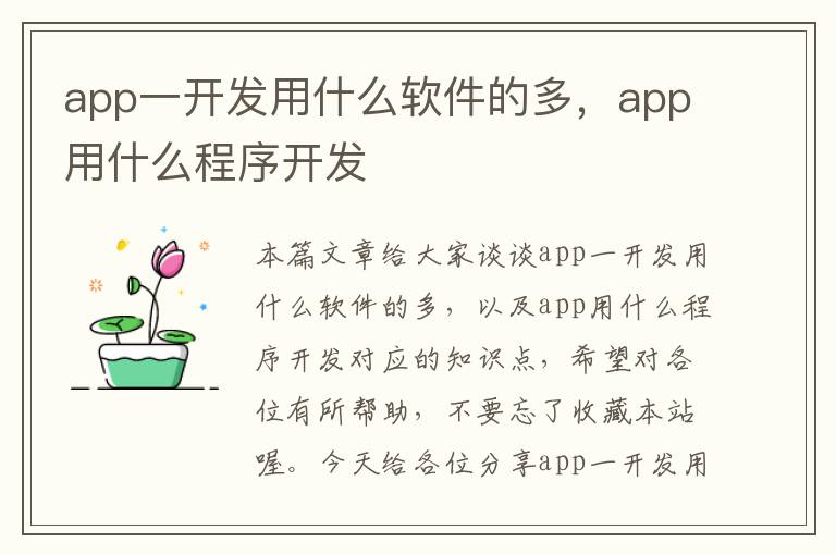app一开发用什么软件的多,app用什么程序开发