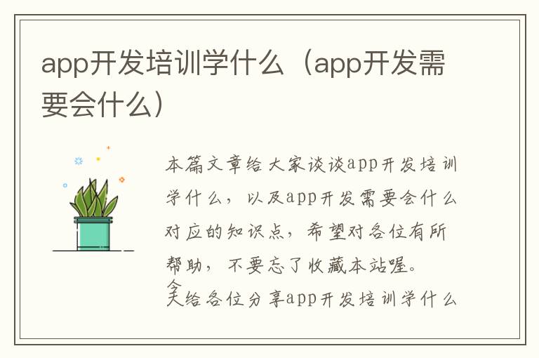 app开发培训学什么(app开发需要会什么)
