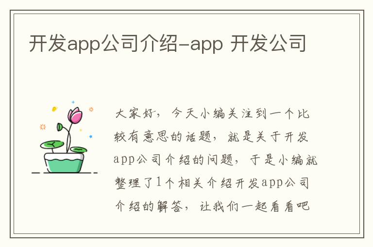 开发app公司介绍-app 开发公司