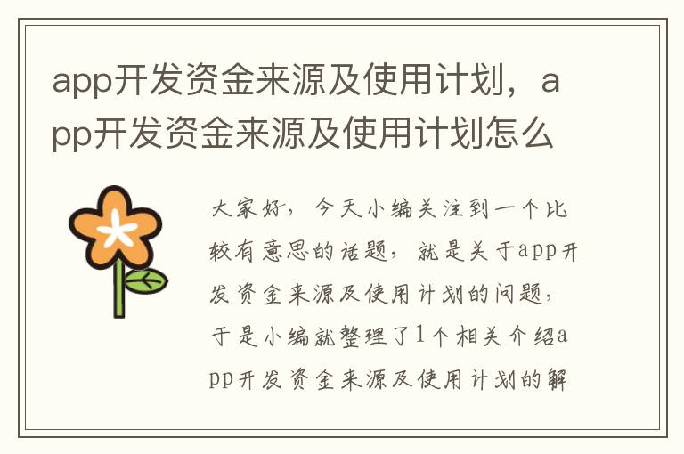 app开发资金来源及使用计划,app开发资金来源及使用计划怎么写