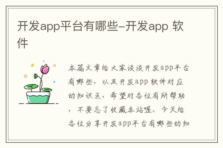 开发app平台有哪些-开发app 软件