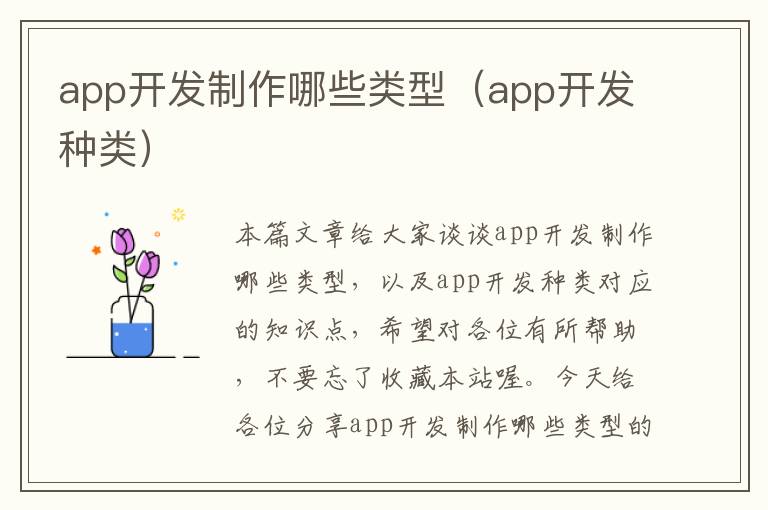 app开发制作哪些类型(app开发种类)